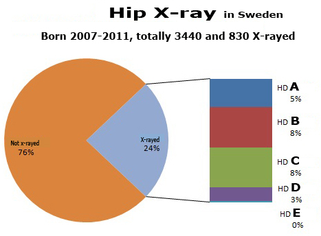 Hd resultat